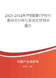 2025-2031年中國國際學校行業研究分析與發展前景預測報告