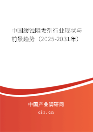 中國緩蝕阻垢劑行業現狀與前景趨勢（2025-2031年）