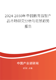 2024-2030年中國教育益智產品市場研究分析與前景趨勢報告