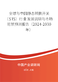全球與中國靜態(tài)轉(zhuǎn)換開關(guān)（STS）行業(yè)發(fā)展調(diào)研與市場前景預測報告（2024-2030年）