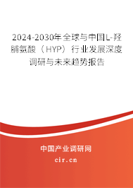 2024-2030年全球與中國L-羥脯氨酸（HYP）行業(yè)發(fā)展深度調研與未來趨勢報告