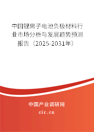 中國鋰離子電池負極材料行業市場分析與發展趨勢預測報告（2025-2031年）