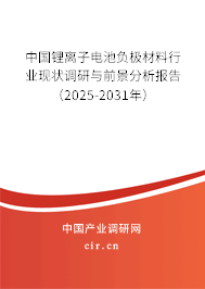 中國鋰離子電池負極材料行業現狀調研與前景分析報告（2025-2031年）
