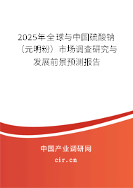 2025年全球與中國硫酸鈉（元明粉）市場調查研究與發展前景預測報告