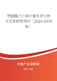 中國路燈燈罩行業現狀分析與前景趨勢預測（2024-2030年）