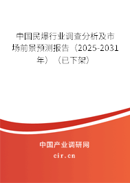 中國民爆行業調查分析及市場前景預測報告（2025-2031年）（已下架）