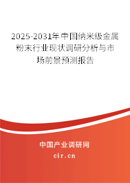 2025-2031年中國納米級金屬粉末行業現狀調研分析與市場前景預測報告