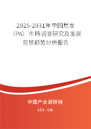 2025-2031年中國(guó)尼龍（PA）市場(chǎng)調(diào)查研究及發(fā)展前景趨勢(shì)分析報(bào)告