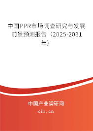 中國PPR市場調查研究與發展前景預測報告（2025-2031年）