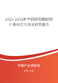 2025-2031年中國葡萄糖醛酸行業(yè)研究與發(fā)展趨勢報告