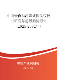 中國全自動超聲波探傷儀行業研究與前景趨勢報告（2025-2031年）