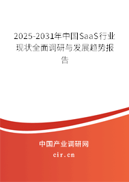 2025-2031年中國SaaS行業現狀全面調研與發展趨勢報告