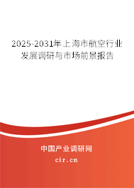 2025-2031年上海市航空行業(yè)發(fā)展調(diào)研與市場前景報告