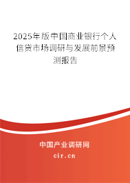 2025年版中國商業銀行個人信貸市場調研與發展前景預測報告