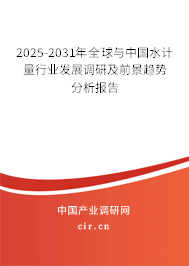 2025-2031年全球與中國水計量行業發展調研及前景趨勢分析報告