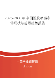 2025-2031年中國塑膠噴嘴市場現狀與前景趨勢報告