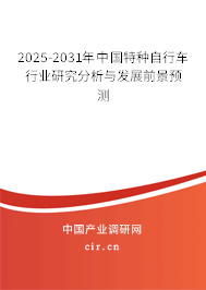 2025-2031年中國特種自行車行業研究分析與發展前景預測