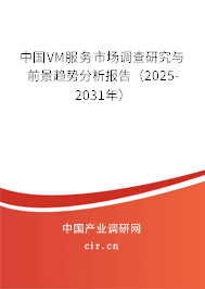 中國VM服務(wù)市場調(diào)查研究與前景趨勢分析報(bào)告（2025-2031年）
