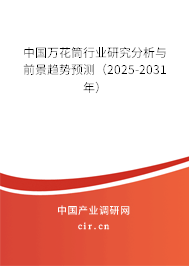 中國(guó)萬(wàn)花筒行業(yè)研究分析與前景趨勢(shì)預(yù)測(cè)（2025-2031年）