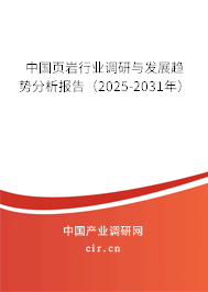 中國頁巖行業(yè)調(diào)研與發(fā)展趨勢分析報告（2025-2031年）