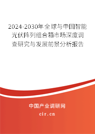 2024-2030年全球與中國智能光伏陣列組合箱市場深度調查研究與發展前景分析報告