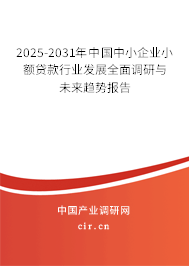 2025-2031年中國中小企業小額貸款行業發展全面調研與未來趨勢報告