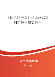 中國內防火型油煙凈化器項目可行性研究報告