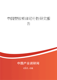 中國塑膠項目可行性研究報告