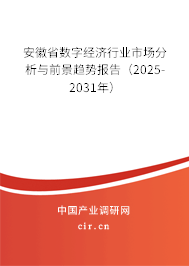 安徽省數字經濟行業市場分析與前景趨勢報告（2025-2031年）
