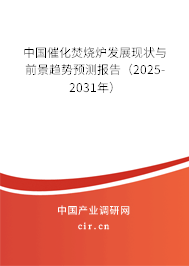 中國催化焚燒爐發展現狀與前景趨勢預測報告（2025-2031年）