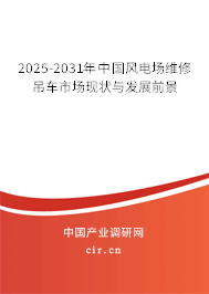 2025-2031年中國風電場維修吊車市場現狀與發展前景