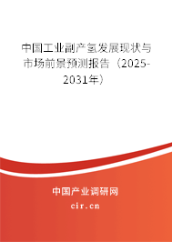 中國工業副產氫發展現狀與市場前景預測報告（2025-2031年）