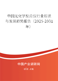中國光化學反應儀行業現狀與發展趨勢報告（2025-2031年）