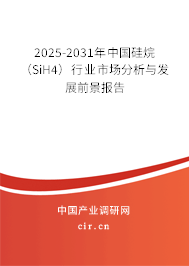 2025-2031年中國硅烷（SiH4）行業市場分析與發展前景報告