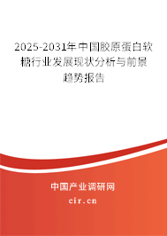 2025-2031年中國膠原蛋白軟糖行業發展現狀分析與前景趨勢報告