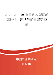 2025-2031年中國進攻型羽毛球拍行業現狀與前景趨勢預測