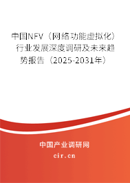 中國NFV（網絡功能虛擬化）行業發展深度調研及未來趨勢報告（2025-2031年）