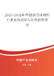 2025-2031年中國清潔煤利用行業(yè)發(fā)展調(diào)研與前景趨勢預(yù)測