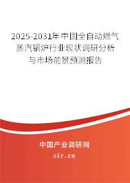 2025-2031年中國全自動燃?xì)庹羝仩t行業(yè)現(xiàn)狀調(diào)研分析與市場前景預(yù)測報(bào)告