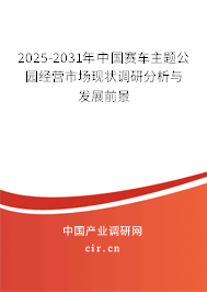 2025-2031年中國賽車主題公園經營市場現狀調研分析與發展前景