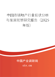 中國商鋪地產(chǎn)行業(yè)現(xiàn)狀分析與發(fā)展前景研究報(bào)告（2025年版）