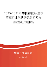 2025-2031年中國數據標注與審核行業現狀研究分析及發展趨勢預測報告