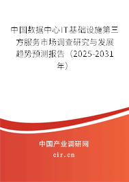 中國數據中心IT基礎設施第三方服務市場調查研究與發展趨勢預測報告（2025-2031年）