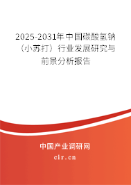 2025-2031年中國碳酸氫鈉（小蘇打）行業發展研究與前景分析報告