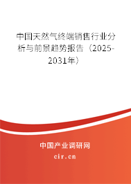 中國天然氣終端銷售行業分析與前景趨勢報告（2025-2031年）