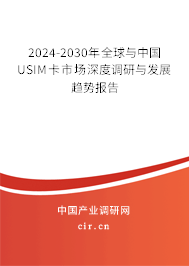 2024-2030年全球與中國USIM卡市場深度調研與發展趨勢報告