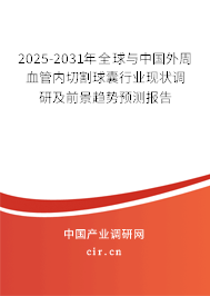 2025-2031年全球與中國外周血管內切割球囊行業現狀調研及前景趨勢預測報告