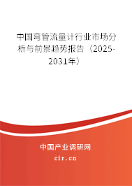中國彎管流量計行業市場分析與前景趨勢報告（2025-2031年）