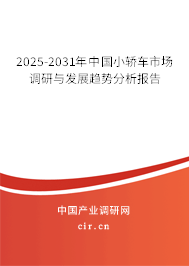 2025-2031年中國小轎車市場調(diào)研與發(fā)展趨勢分析報告
