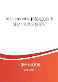 2025-2031年中國鑰匙刀行業研究與前景分析報告